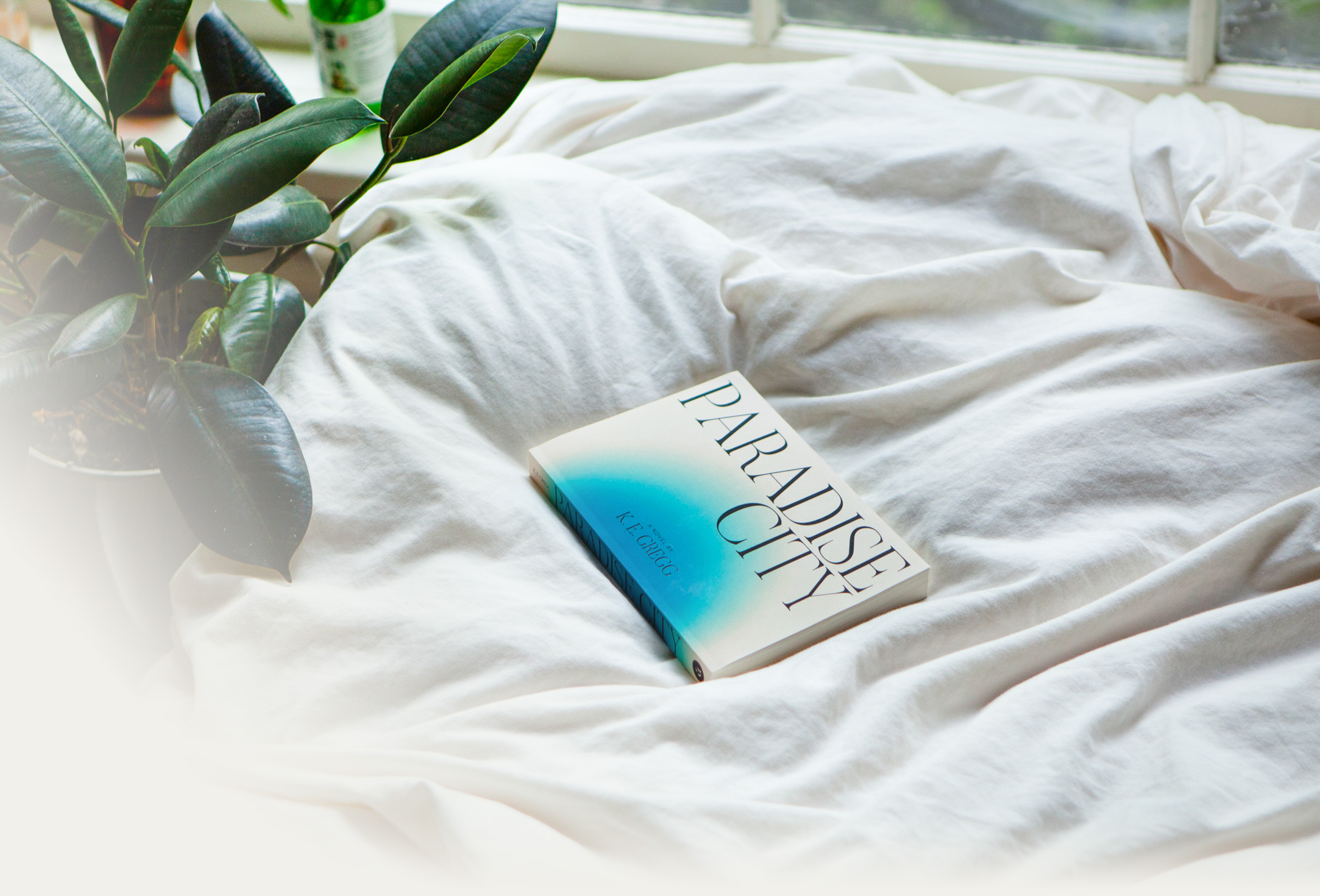 Paradise City Cover Paperback